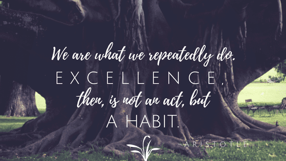 "We are what we repeatedly do. Excellence, then, is not an act, but a habit."