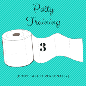 Potty Training Survival Tip 3